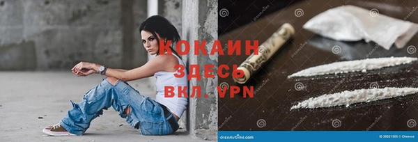 гидра Бронницы