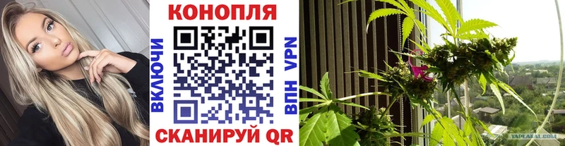 Марихуана THC 21%  сколько стоит  Данков 